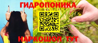 метадон Аргун