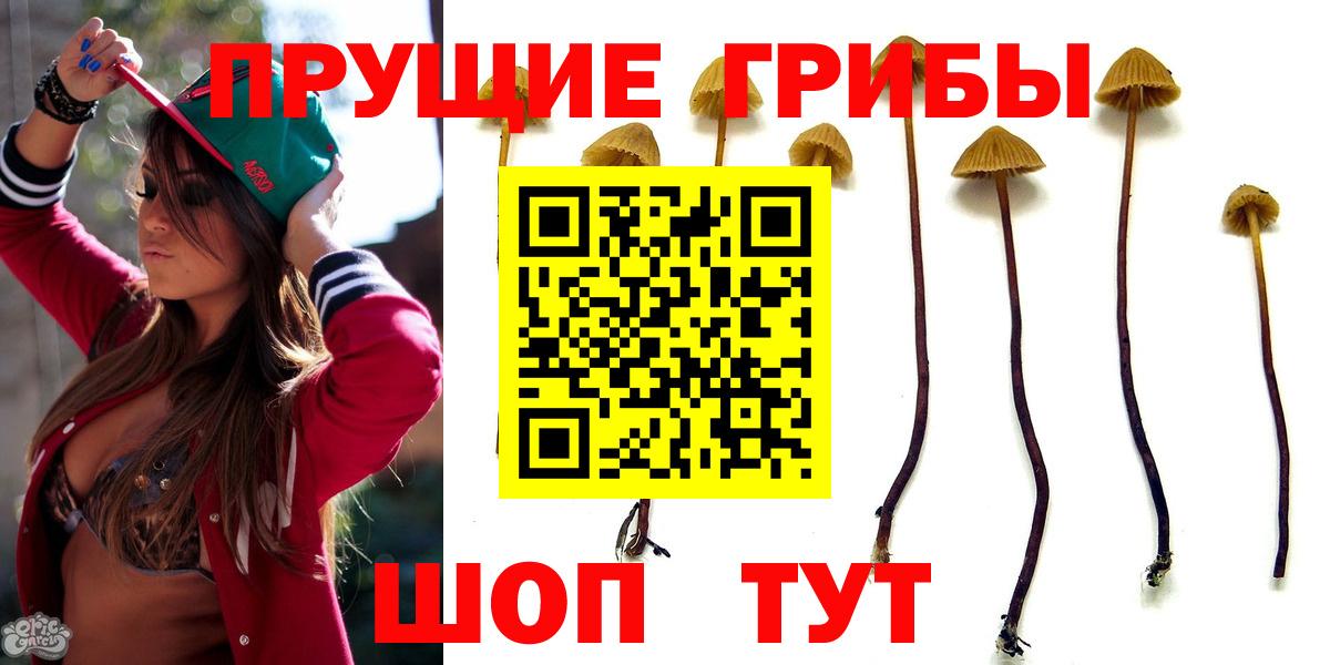 Псилоцибиновые грибы ЛСД Боровичи